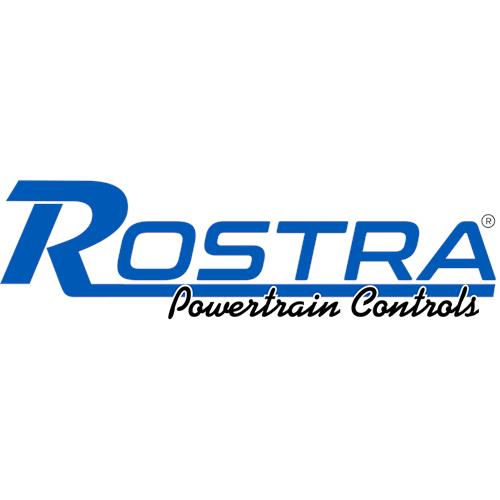  Buy Rostra 250-7527 Hardware For 250-7504-Chr5 - Audio and Electronic