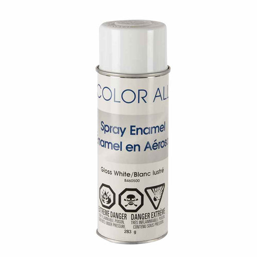  Buy VHT B460500 Essential Spray Gloss White 16Oz 283G - Automotive Paint