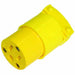  Buy Rodac 45401 Female Plug 110V - Automotive Tools Online|RV Part Shop