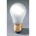 Multi Purpose 12V Light Bulb