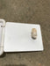 Used 6 1/4" W RV Access Hatch - Young Farts RV Parts