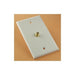 TV Wall Plate - White - Young Farts RV Parts