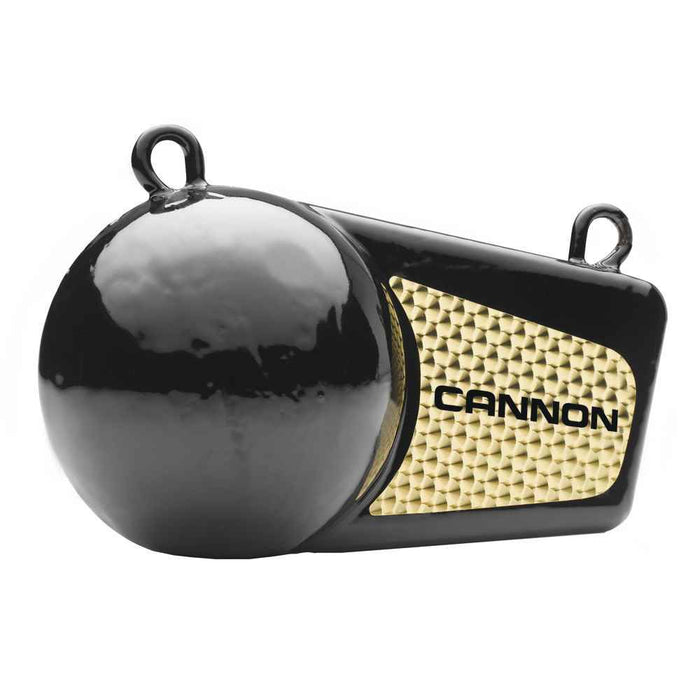 Buy Cannon 2295002 4lb Flash Weight - Hunting & Fishing Online|RV Part
