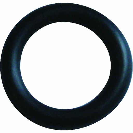 Buy Fairview Fittings OR-POL P.O.L. Replacement O Ring - Unassigned