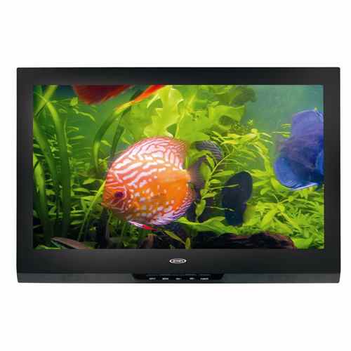 Buy ASA Electronics JE3212LED 12V 32" Led Television - Televisions