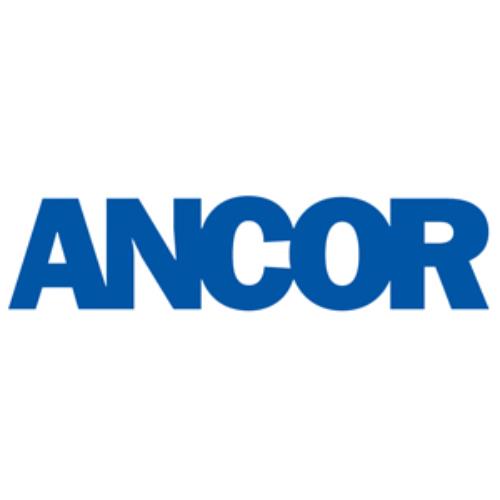 Buy Ancor 326899 Heat Shrink Speaker Disconnect Female 22-18 AWG,.110 Tab