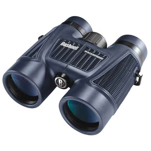 Buy Bushnell 150142 H2O Series 10x42 WP/FP Roof Prism Binocular - Outdoor