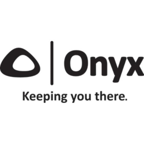 Buy Onyx Outdoor 157000-300-040-12 Nylon Pet Vest - Large - Yellow -