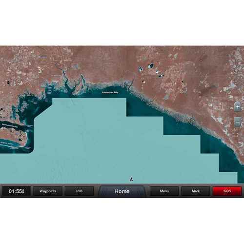 Buy Garmin 010-C1186-00 Standard Mapping - Gulf Coast Classic microSD /SD