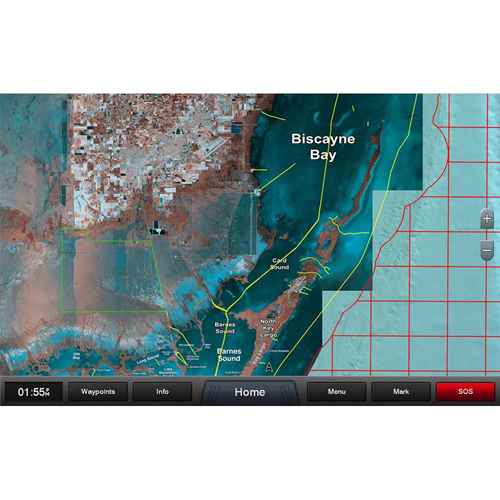 Buy Garmin 010-C1193-00 Standard Mapping - Florida One Premium microSD /SD