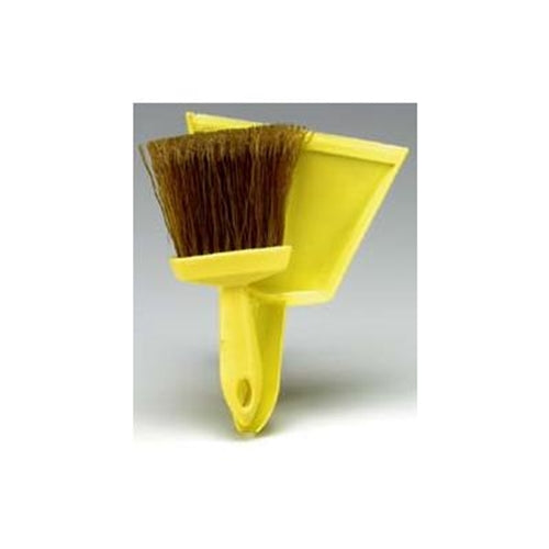 Whisk Broom/ Dust Pan 