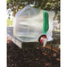 Collapsible Water Carrier - 2 Gallon Capacity