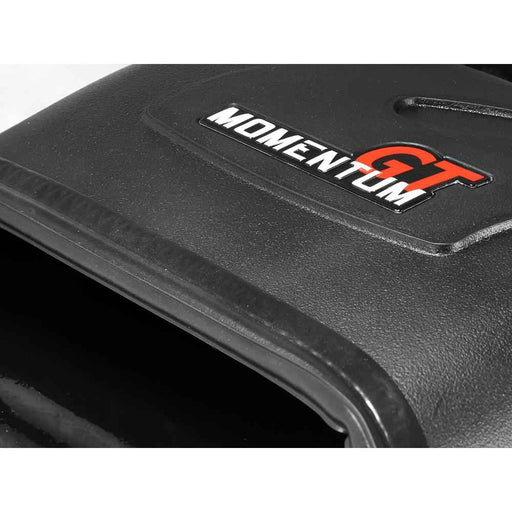 Momentum GT Pro DRY S Cold Air Intake System