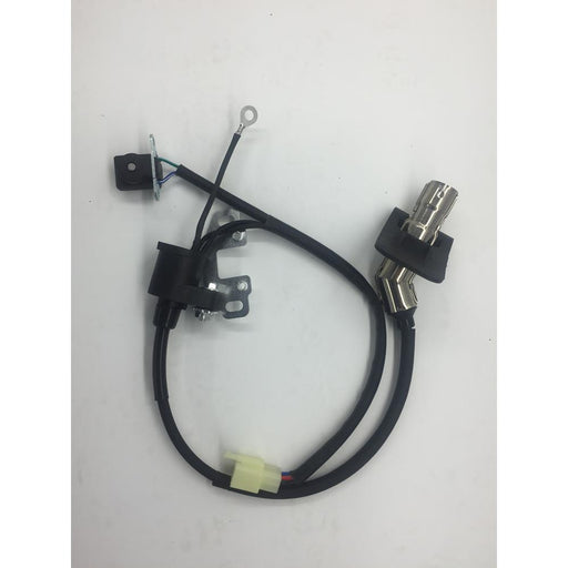 Cdi Ignition Coil/Trigger Assembly 