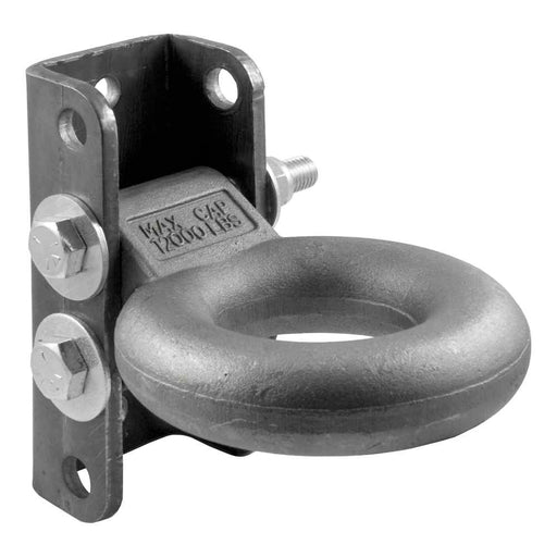 Adjustable Lunette Ring (12,000 lbs., 3" Eye, 7-1/2" Channel Height)