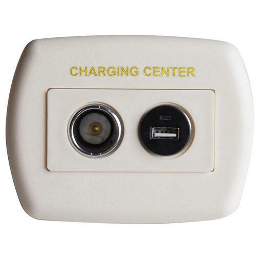 USB/12V Charger Wallplate Ivory 