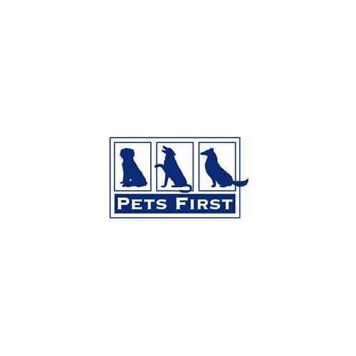 Collegiate Pet Accessories, Dog Collar, Florida Gators, Small